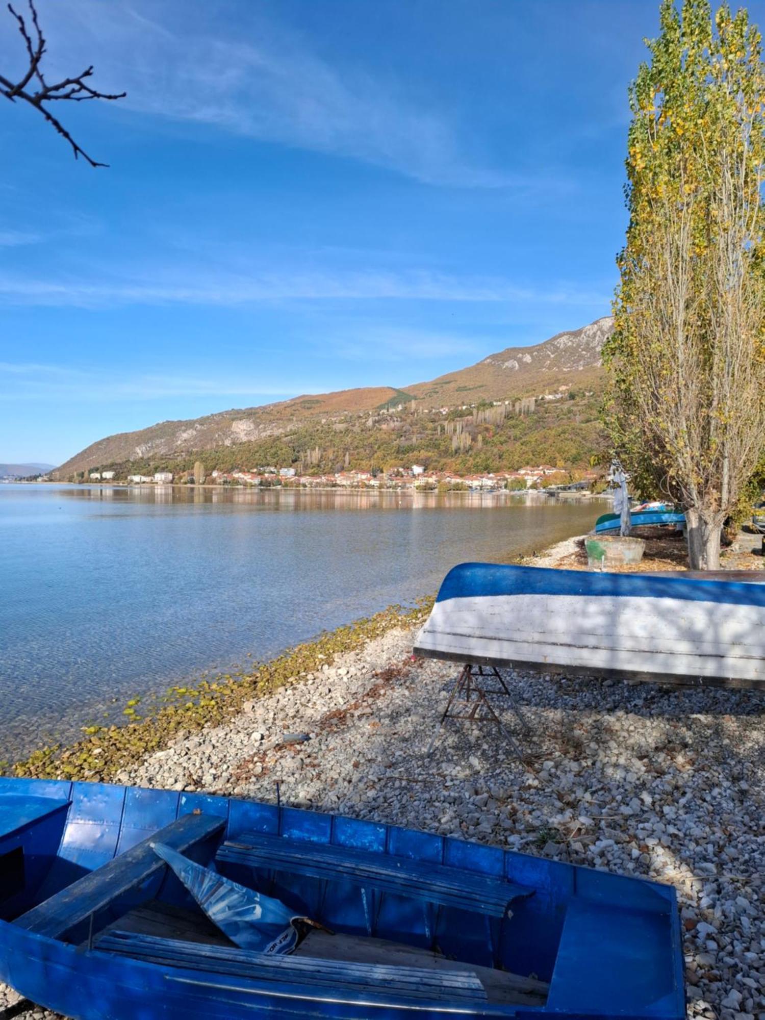 Apartments Villa Boris Ohrid Room photo