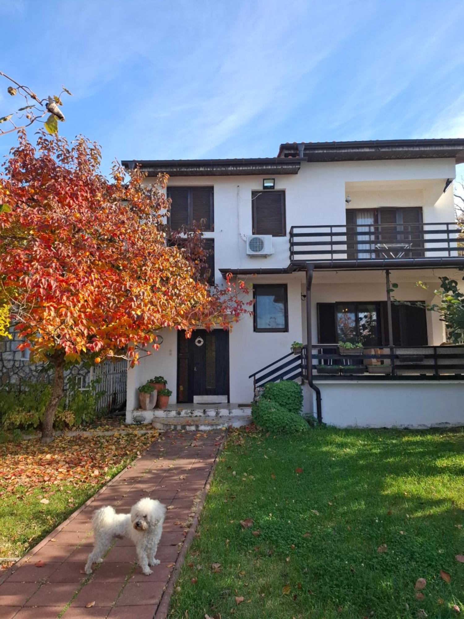 Apartments Villa Boris Ohrid Room photo