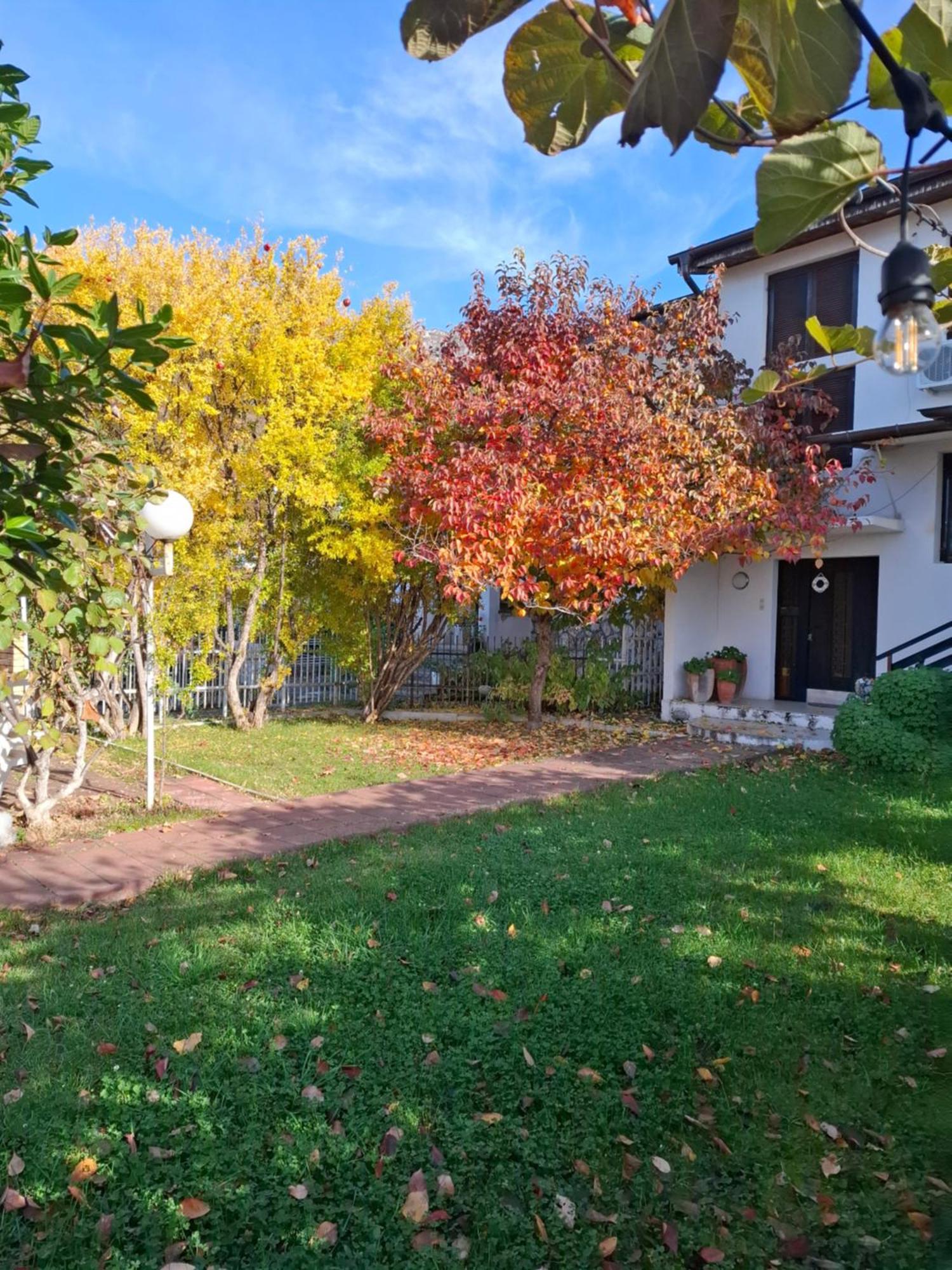 Apartments Villa Boris Ohrid Exterior photo