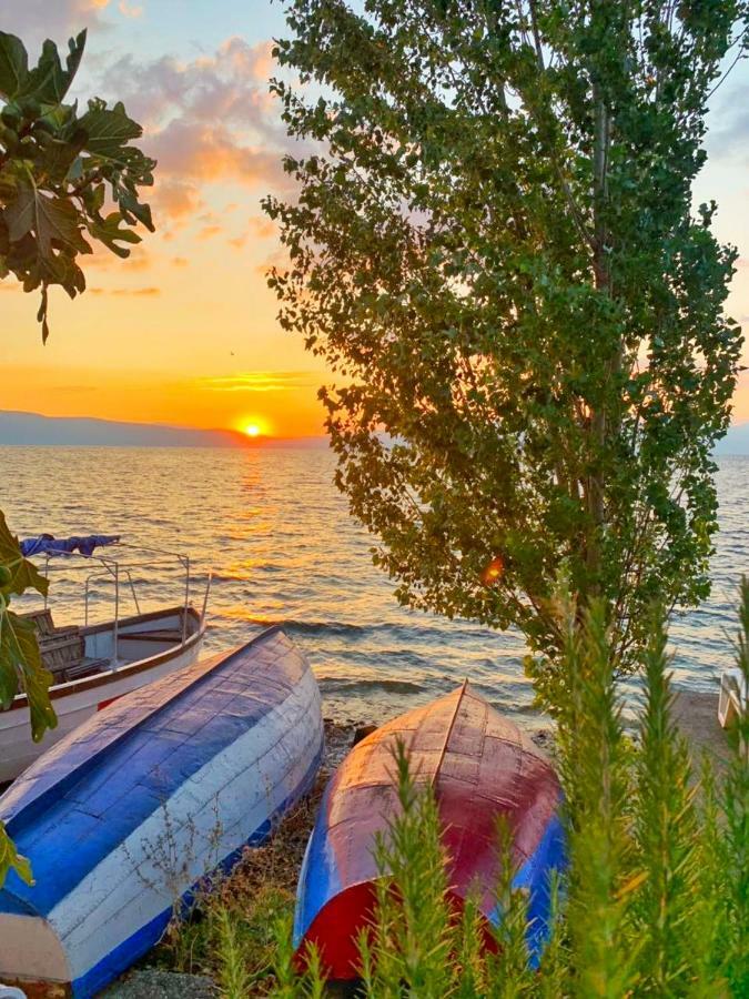 Apartments Villa Boris Ohrid Exterior photo
